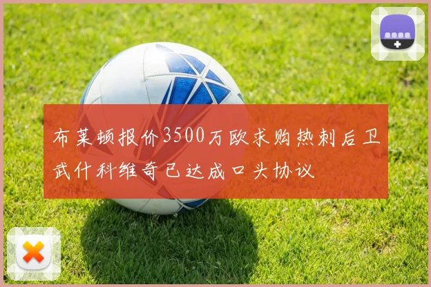 布莱顿报价3500万欧求购热刺后卫武什科维奇已达成口头协议